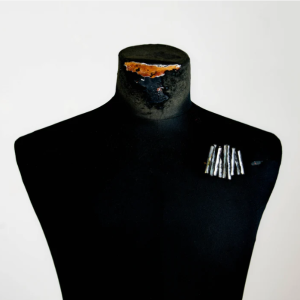 Capture d’écran 2024-07-30 140119